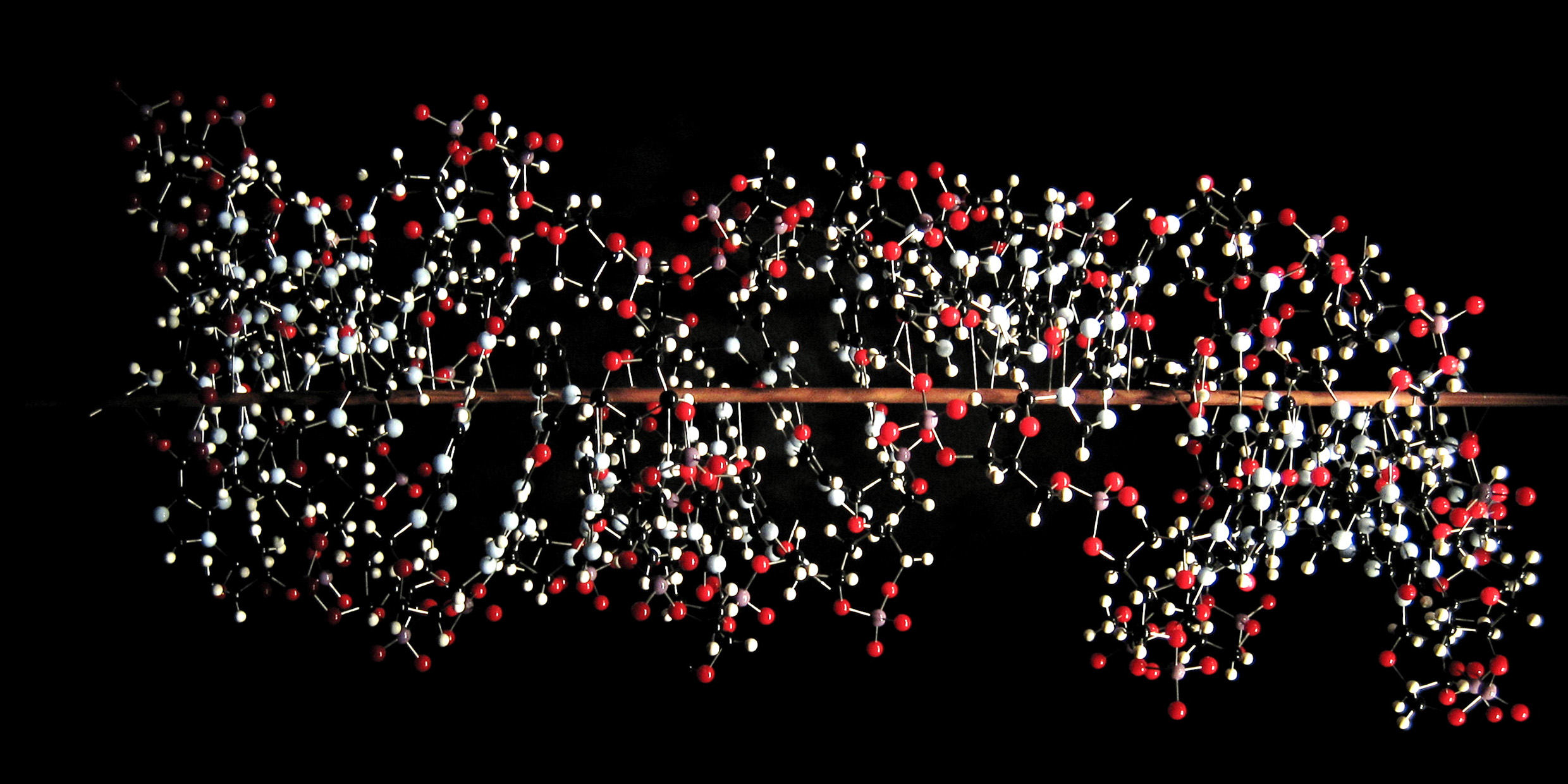 Image of DNA molecule model