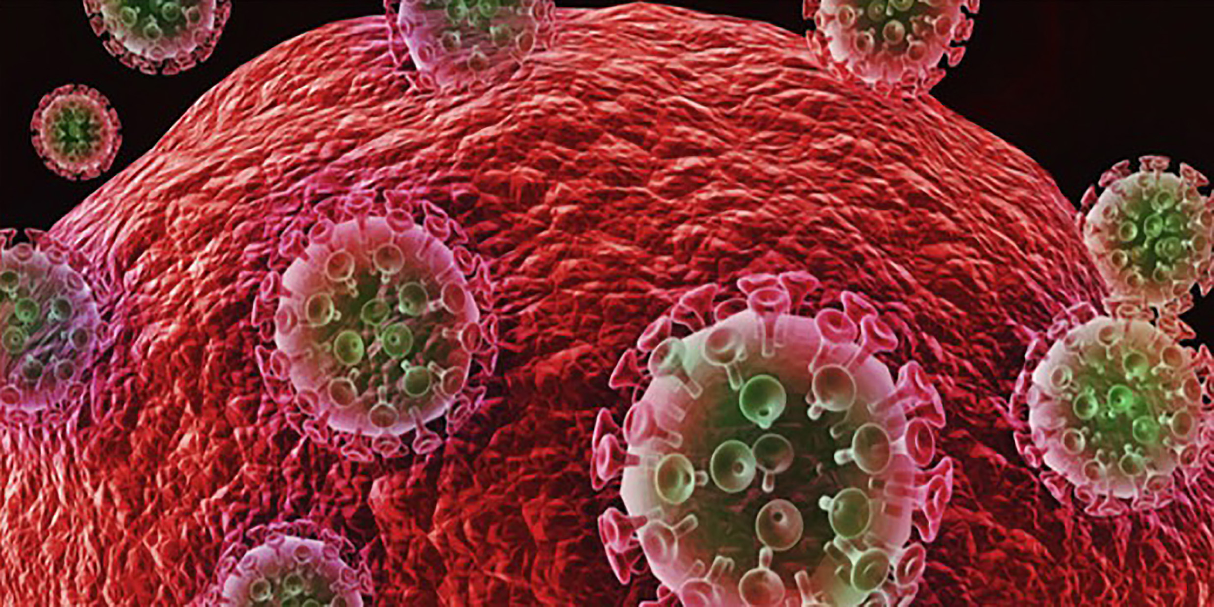Image of the HIV virus