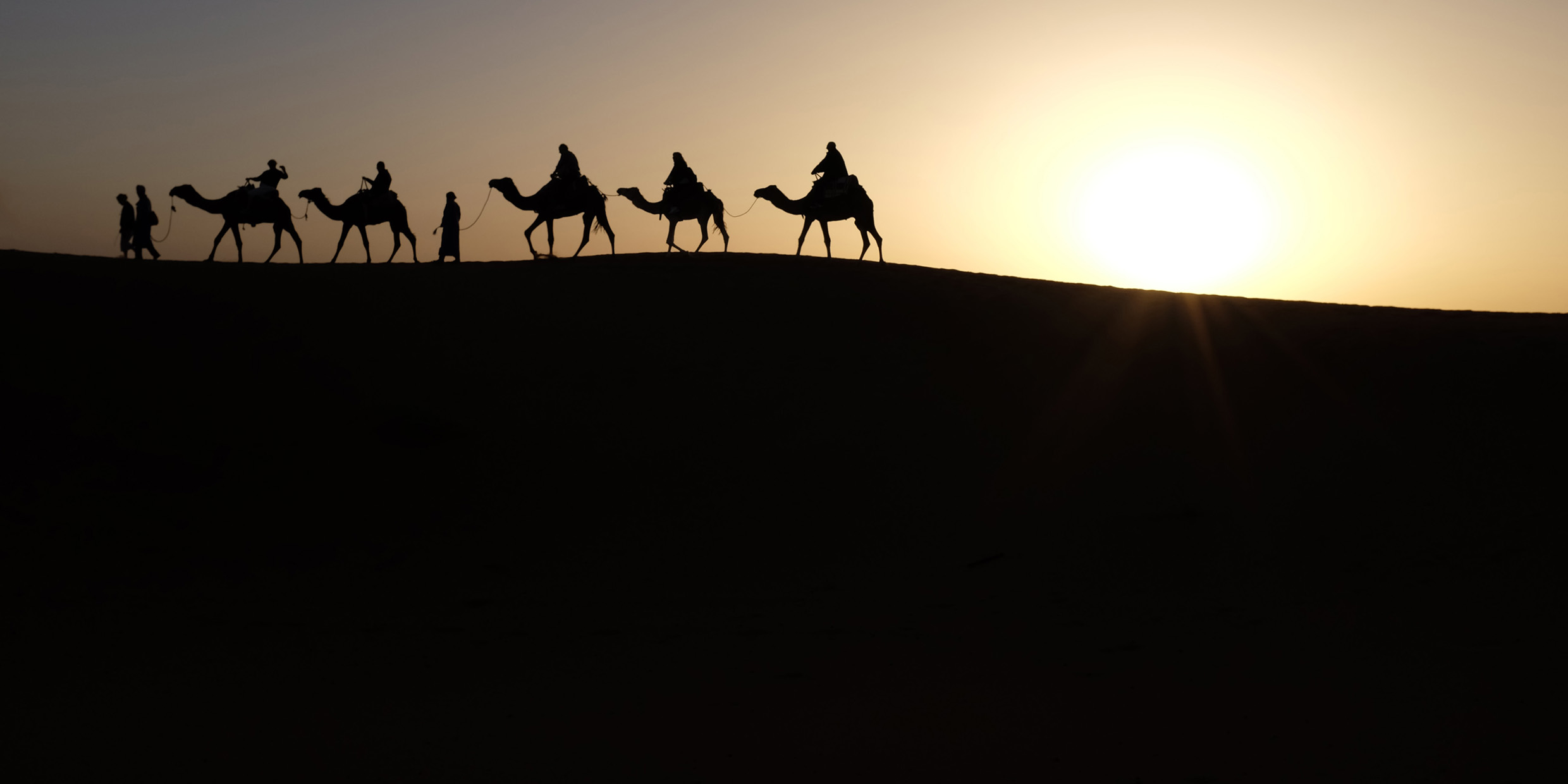 Image of camels in desert