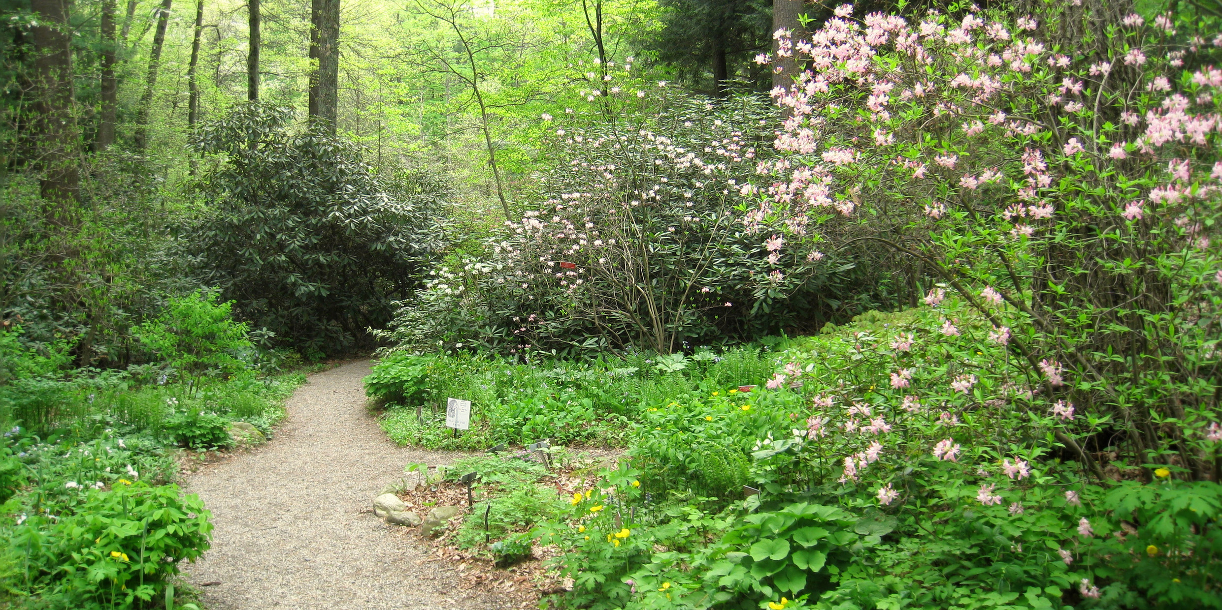 Image of Garden in the Woods