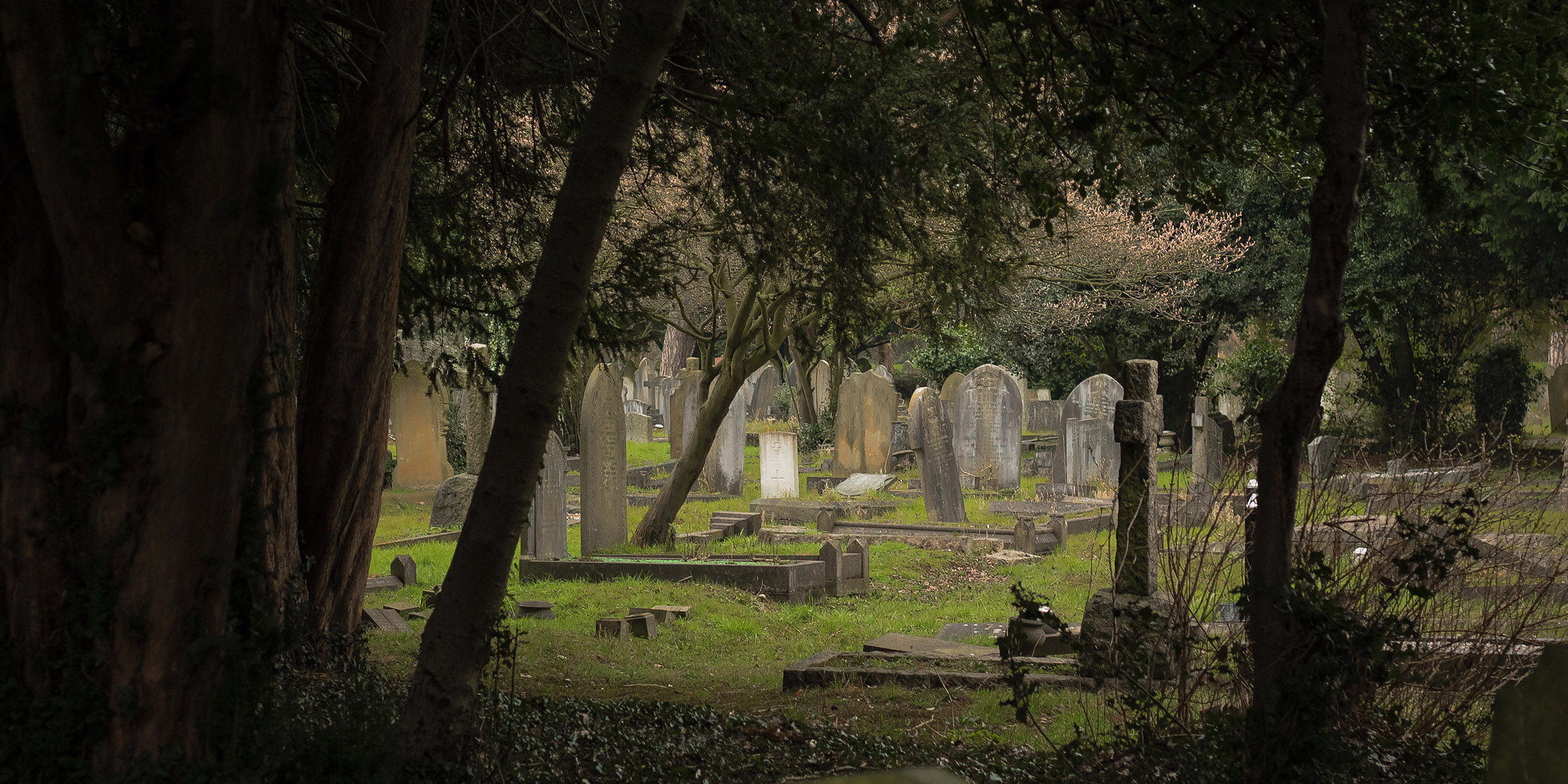 Image of cemetery