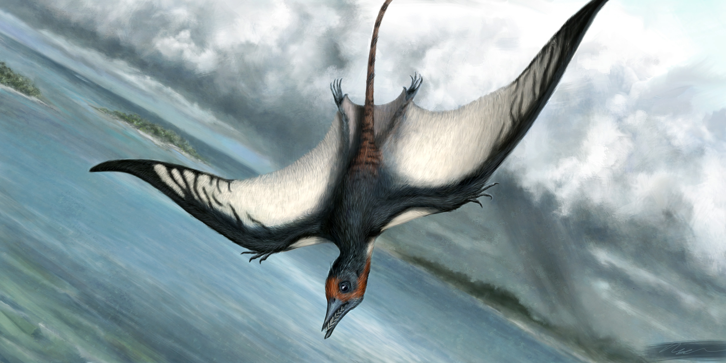 Pterosaur First Fliers