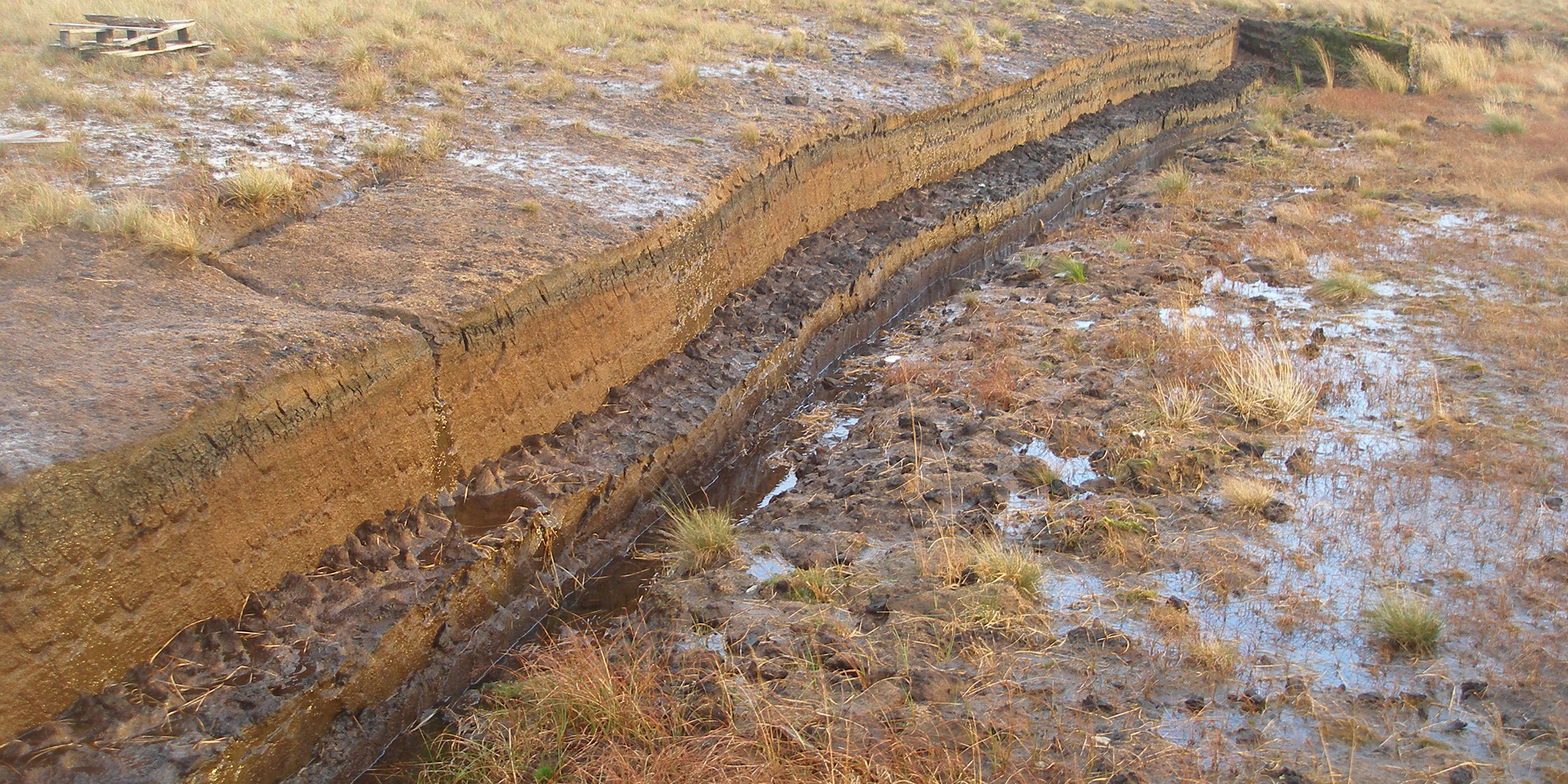 Image of an Irish bog