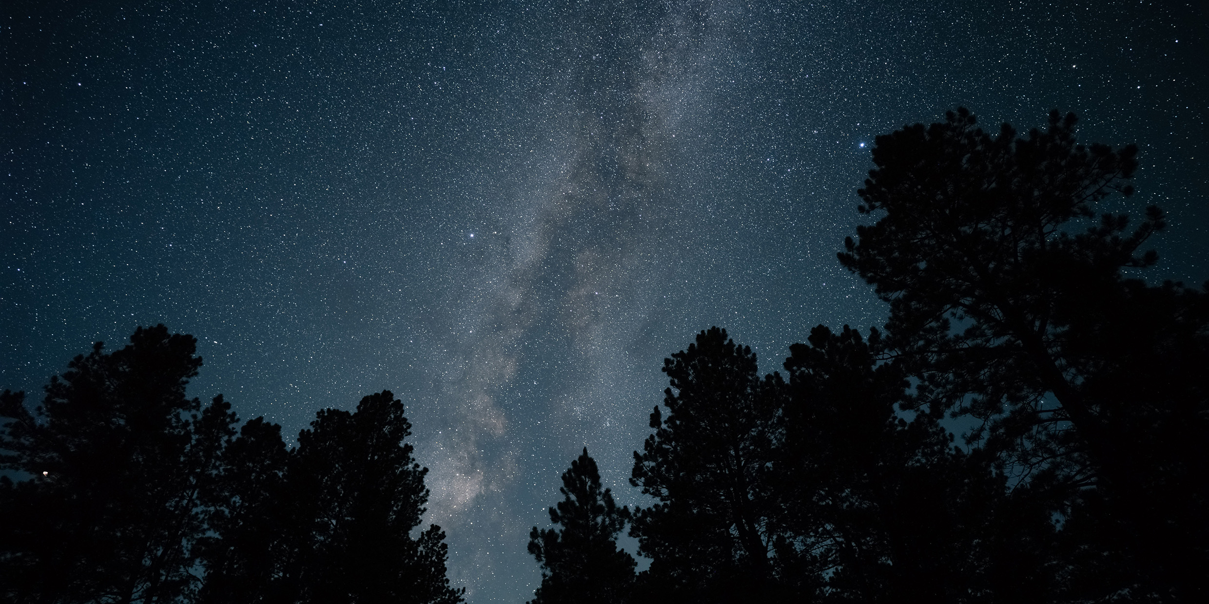 Image of night sky over trees
