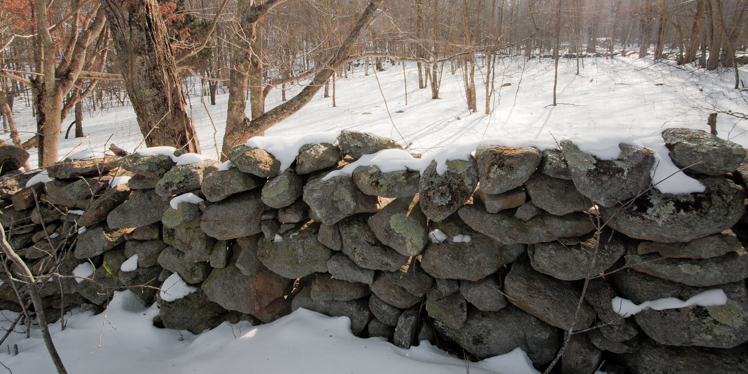 Image of New England stone wall in winter