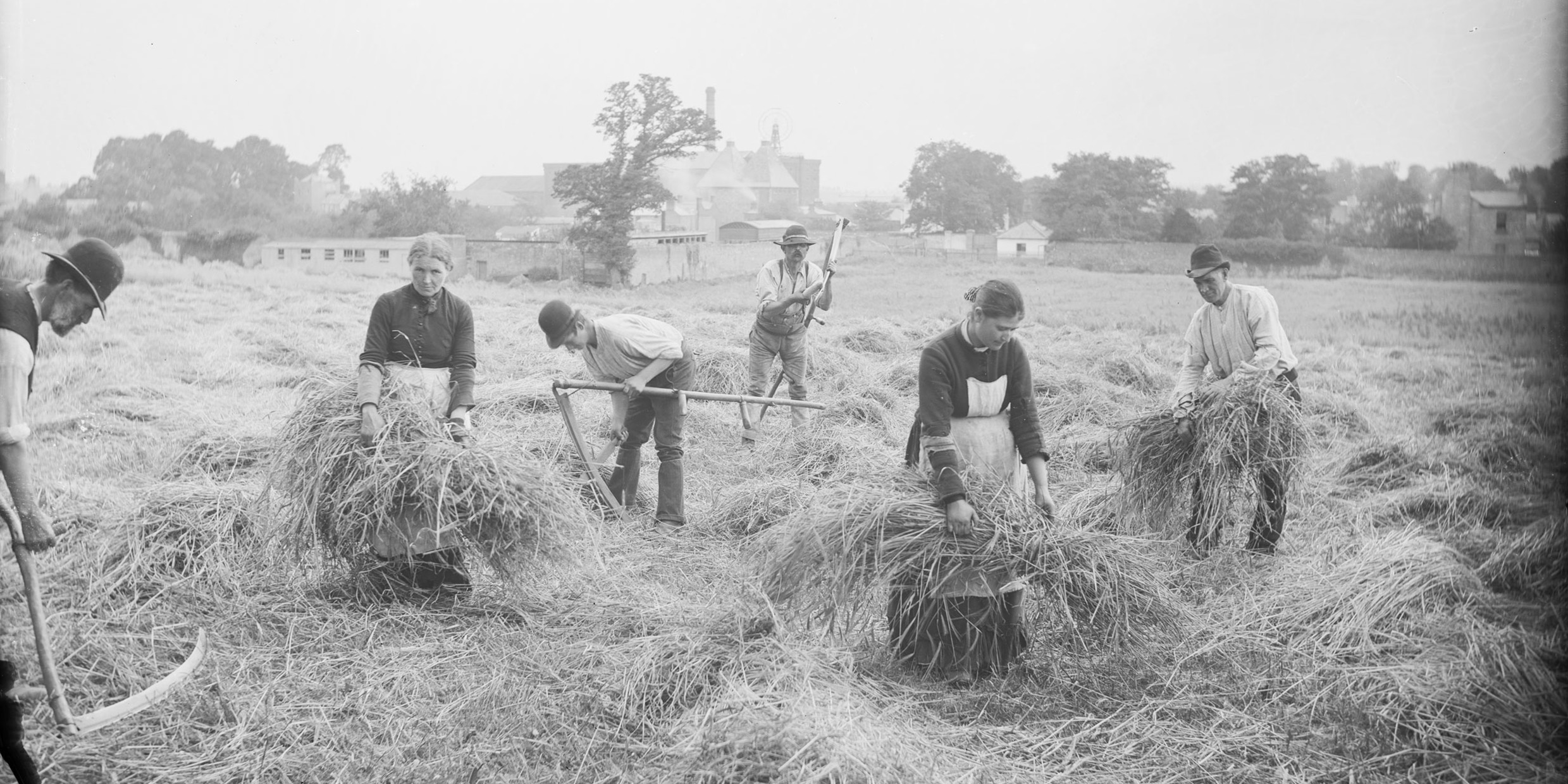 Antique photo of traditional Irish farming practices