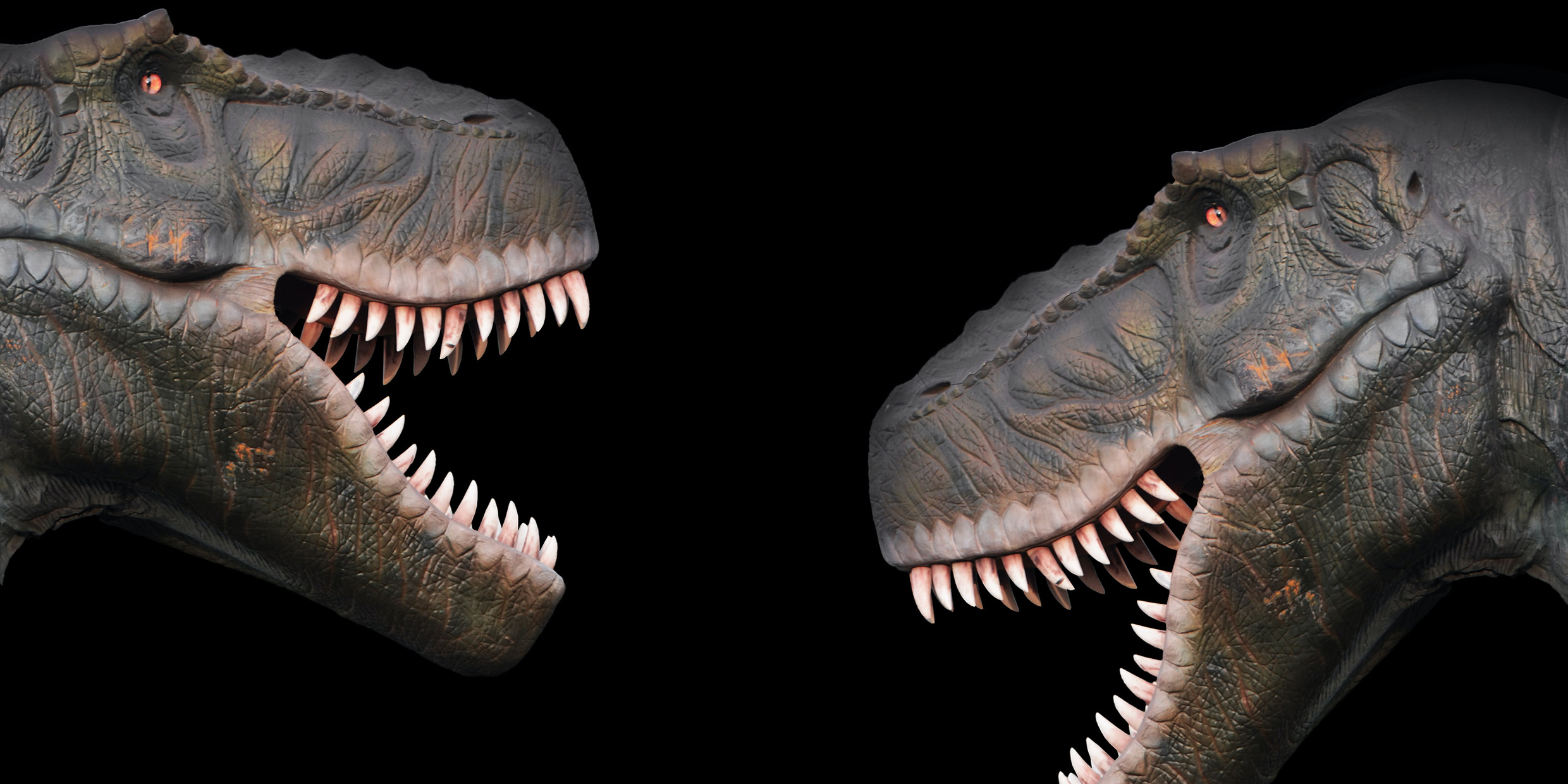 Image of two dinosaur models