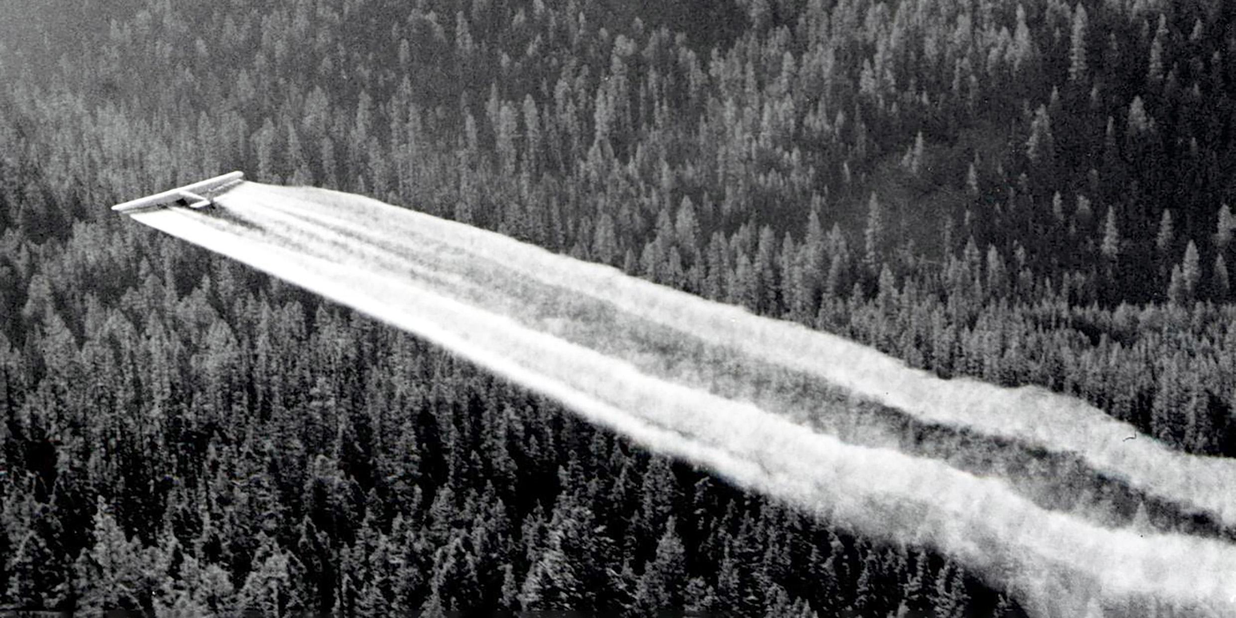 Image of airplane spraying DDT over forest