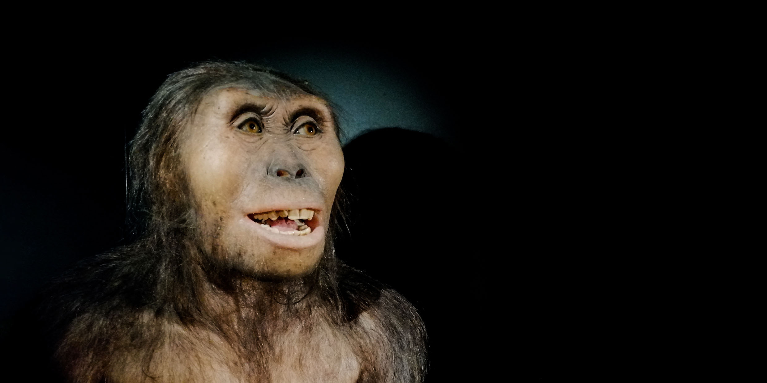 Reconstruction of an early human female