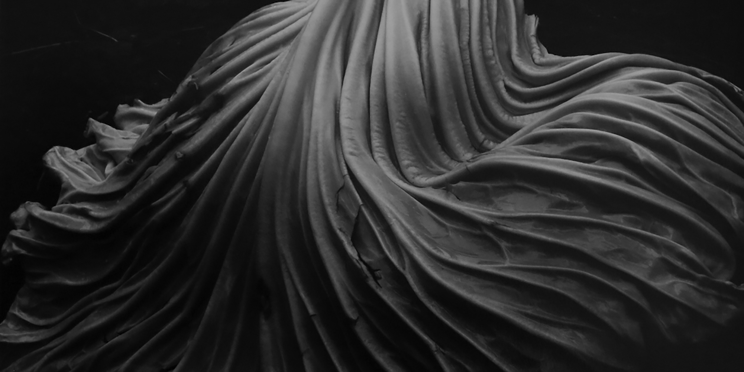 Close-up artistic photograph of a cabbage leaf