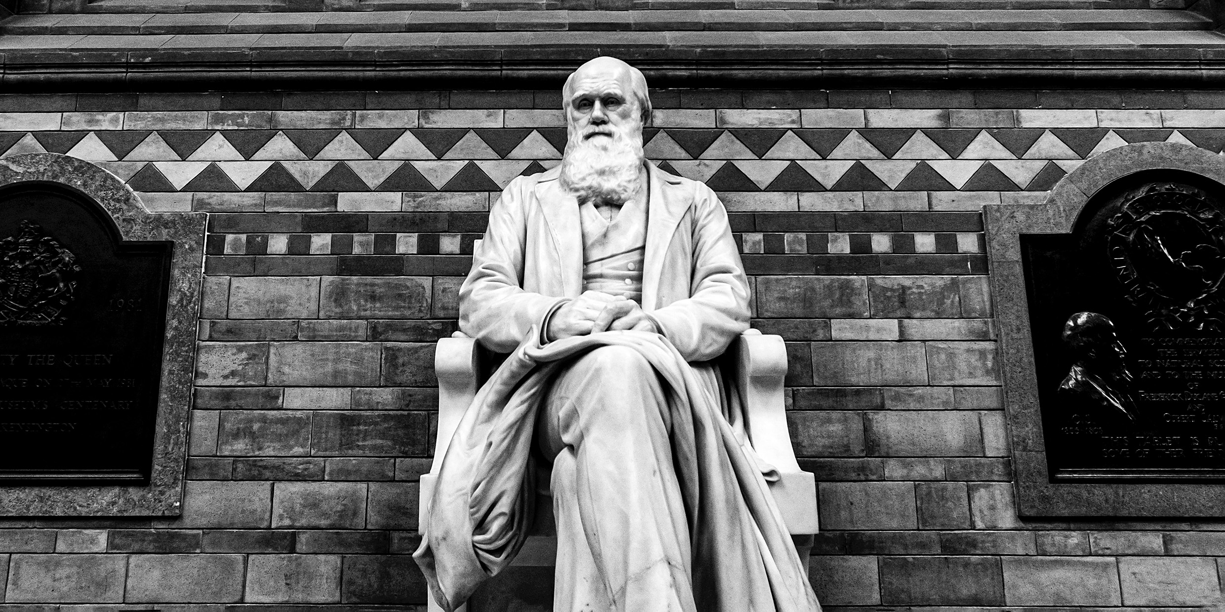 Image of statue of Charles Darwin