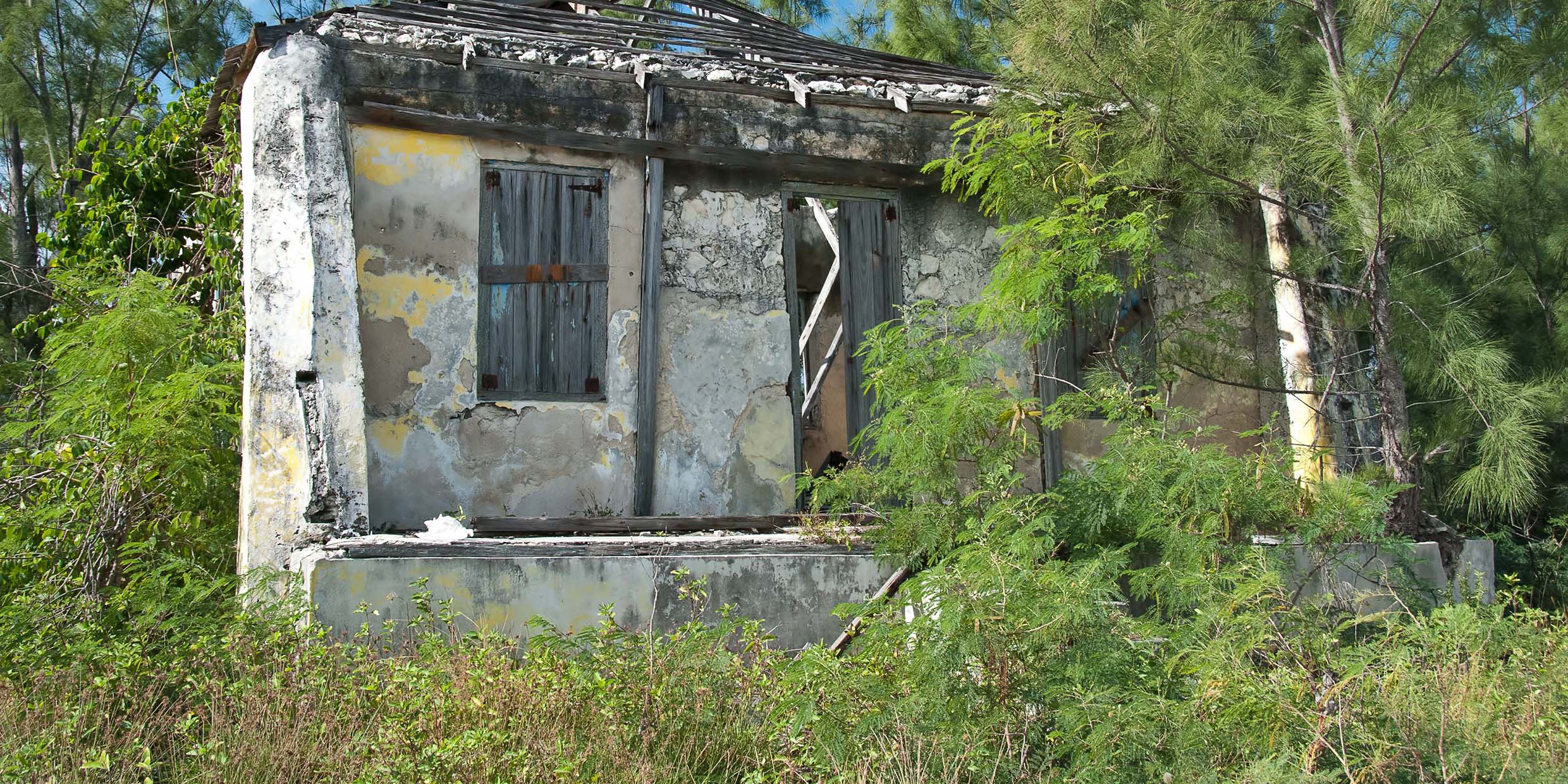 Image of abandoned and overgrown house