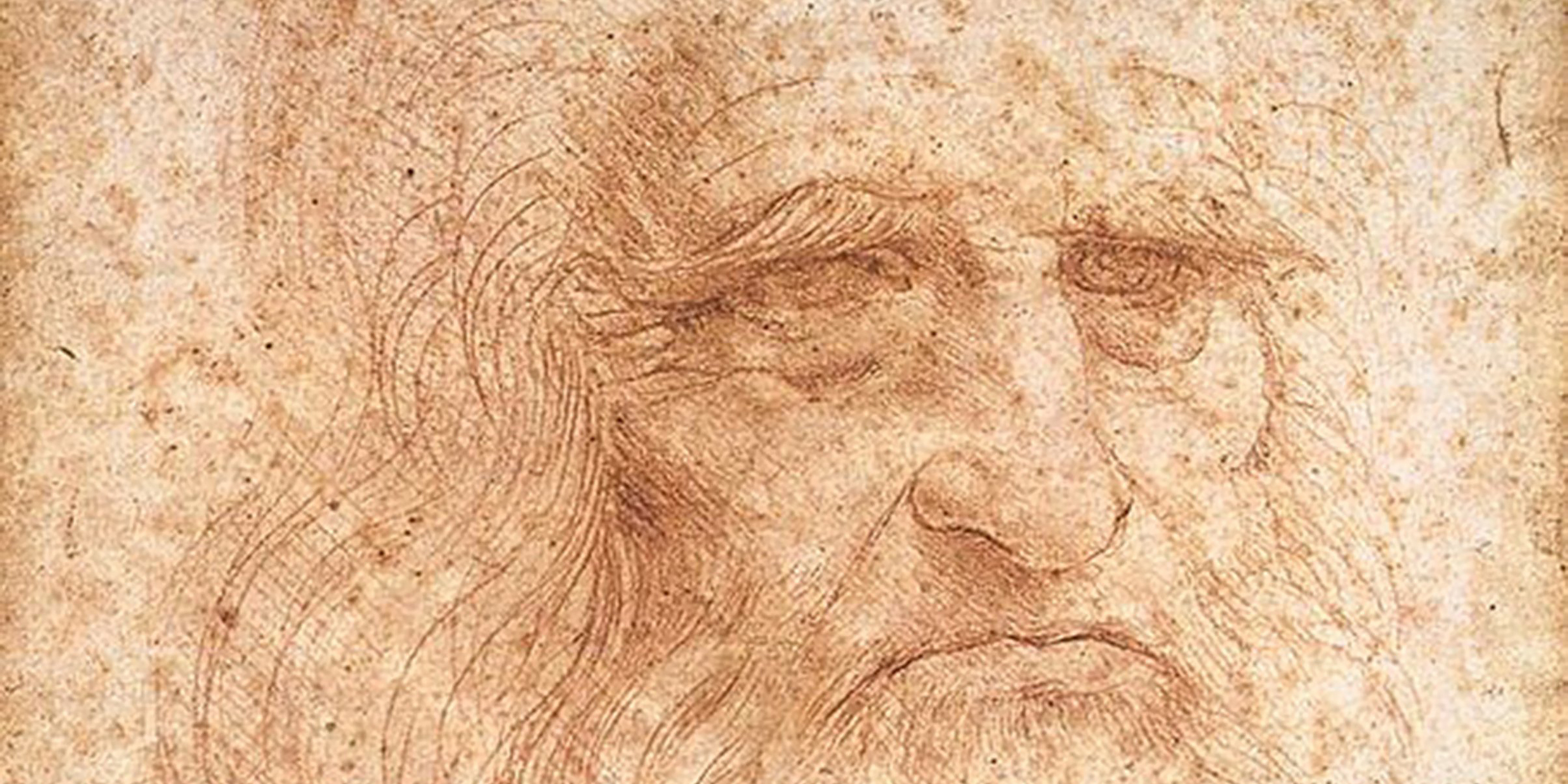 Portrait of an aged man drawn in red chalk by Leonardo da Vinci