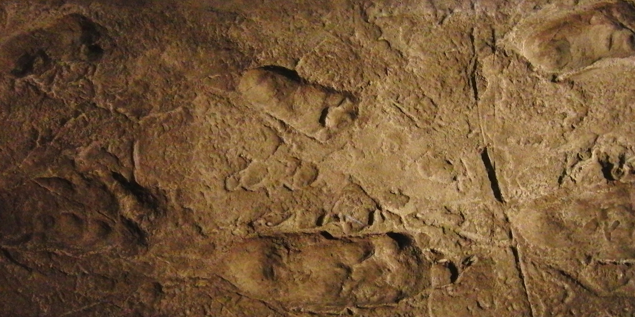 Image of footprints in clay