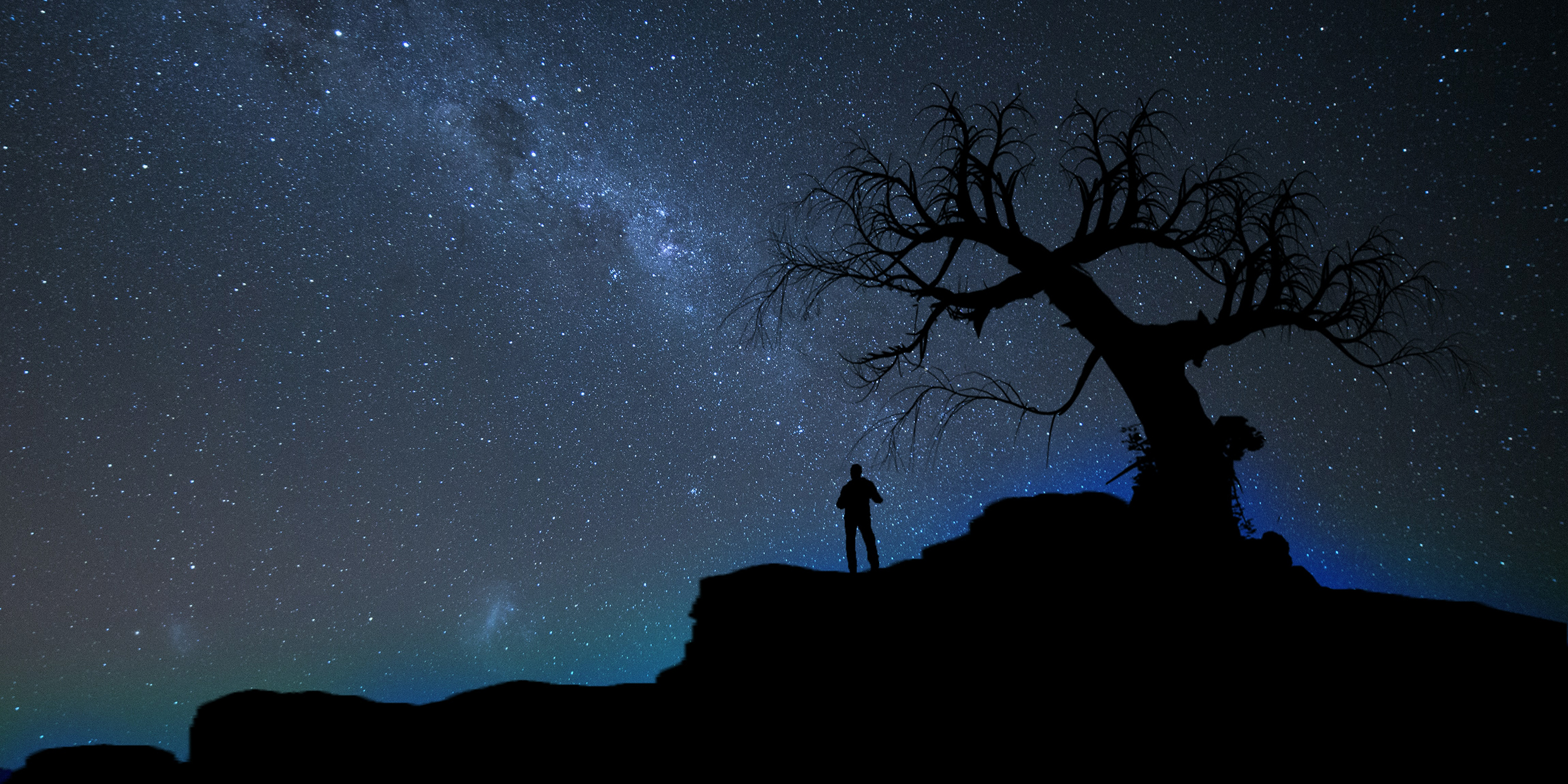 Image of man and tree silhouetted by night sky