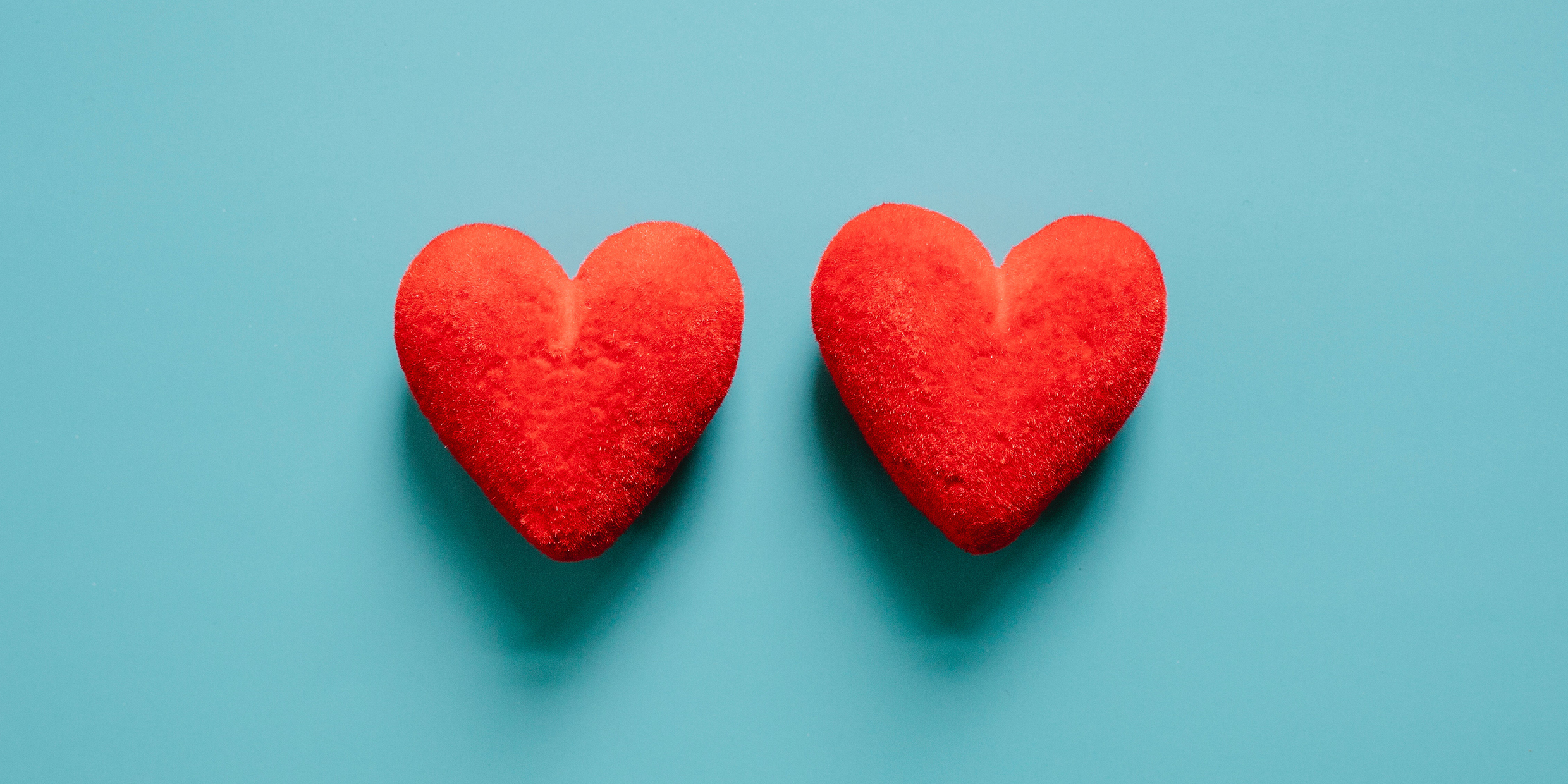 Image of two plush hearts on a blue background
