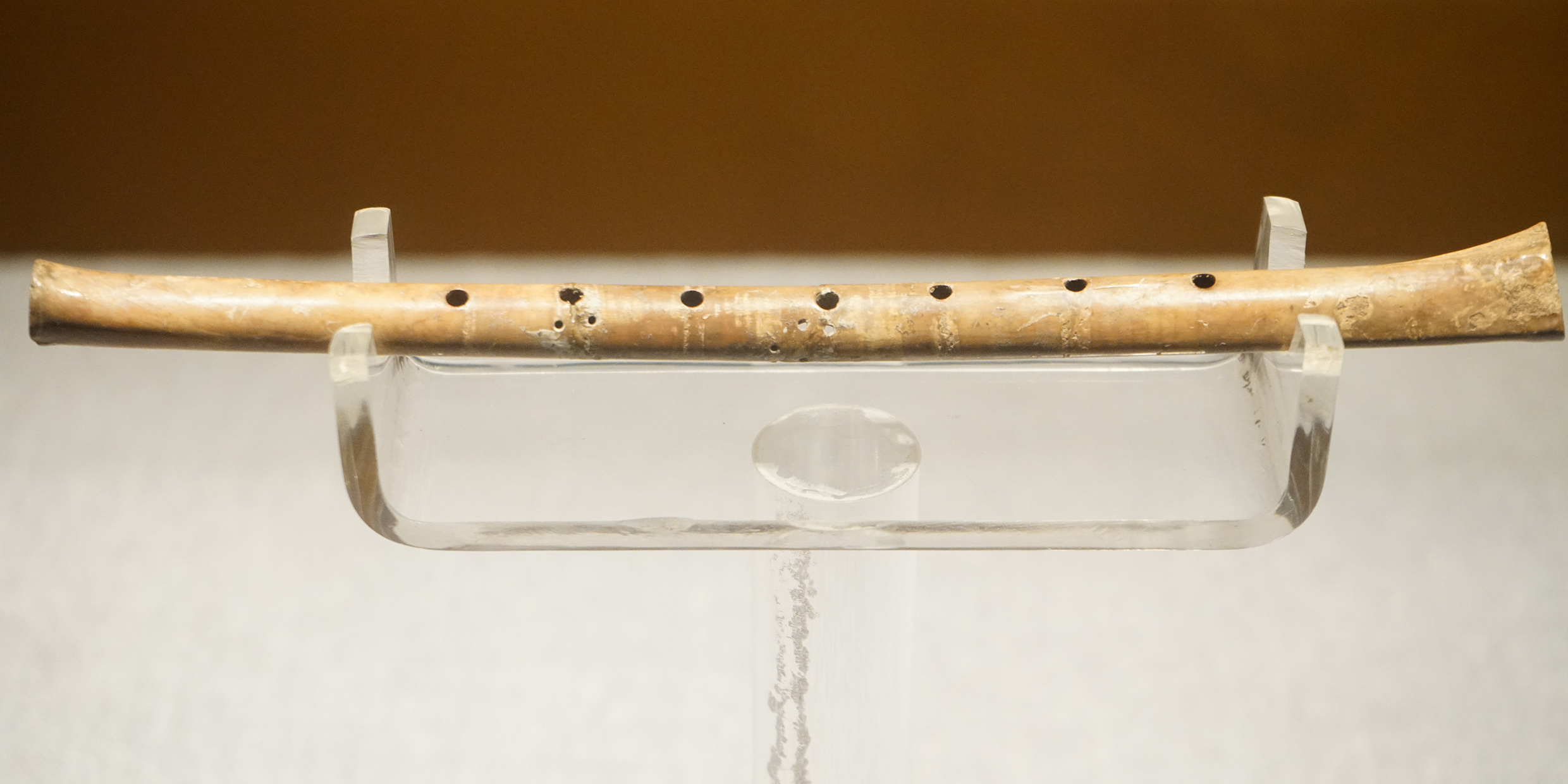 Image of a bone flute in a museum display