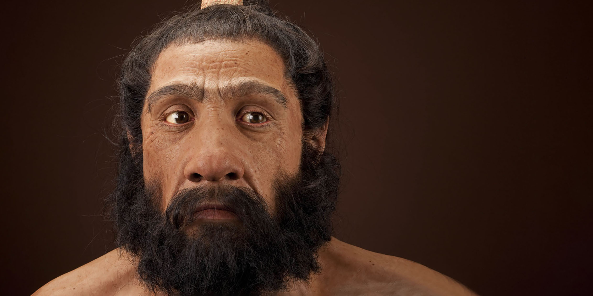 Image of a reconstruction of a male adult Neanderthal
