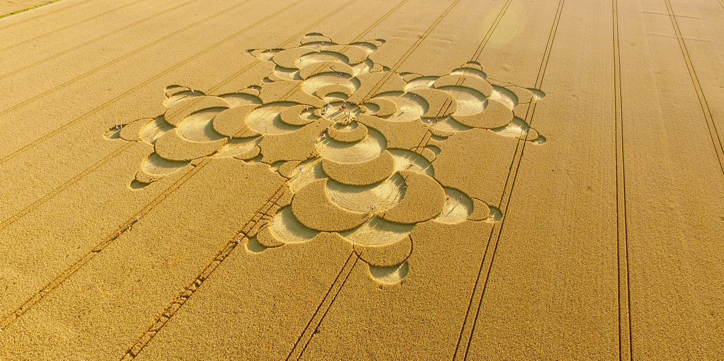 Aerial view of an intricate crop circle cut into a grain field