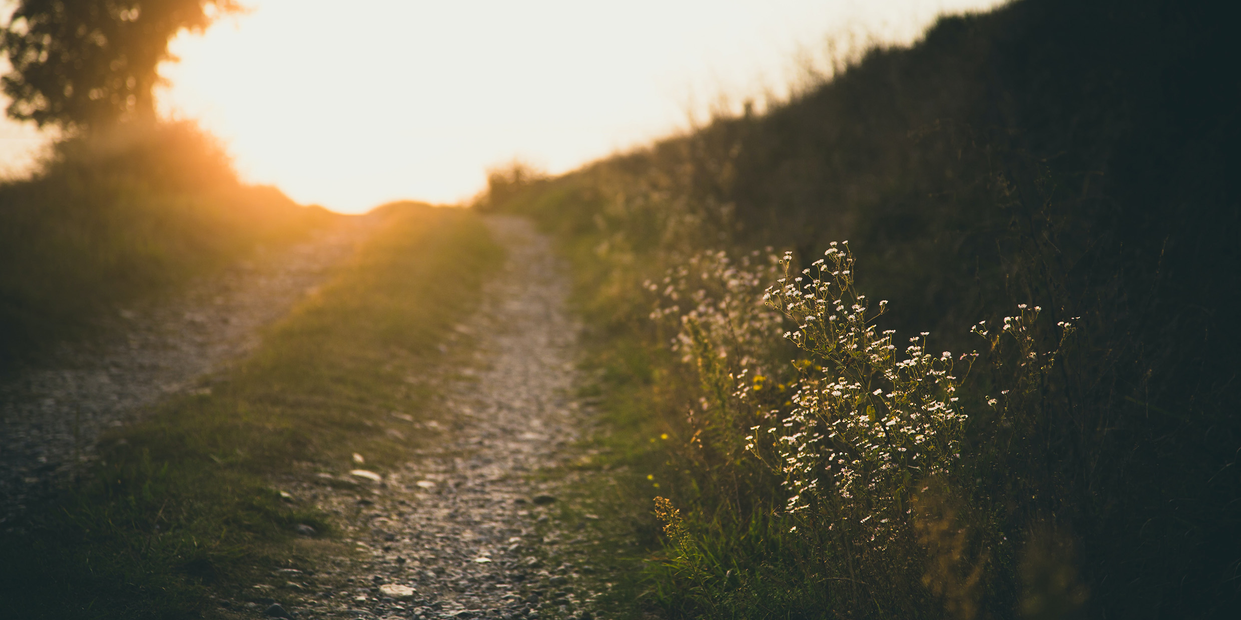Image of a country path at sunrise