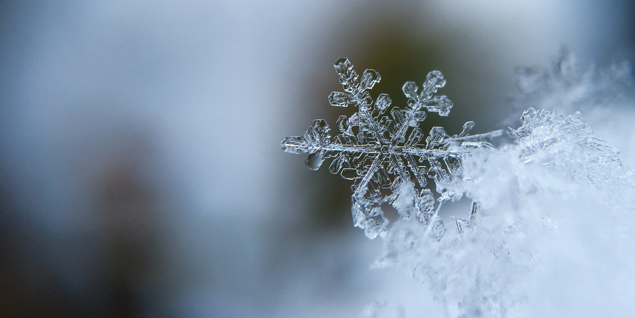 Close-up photograph of a six-sided snowflake