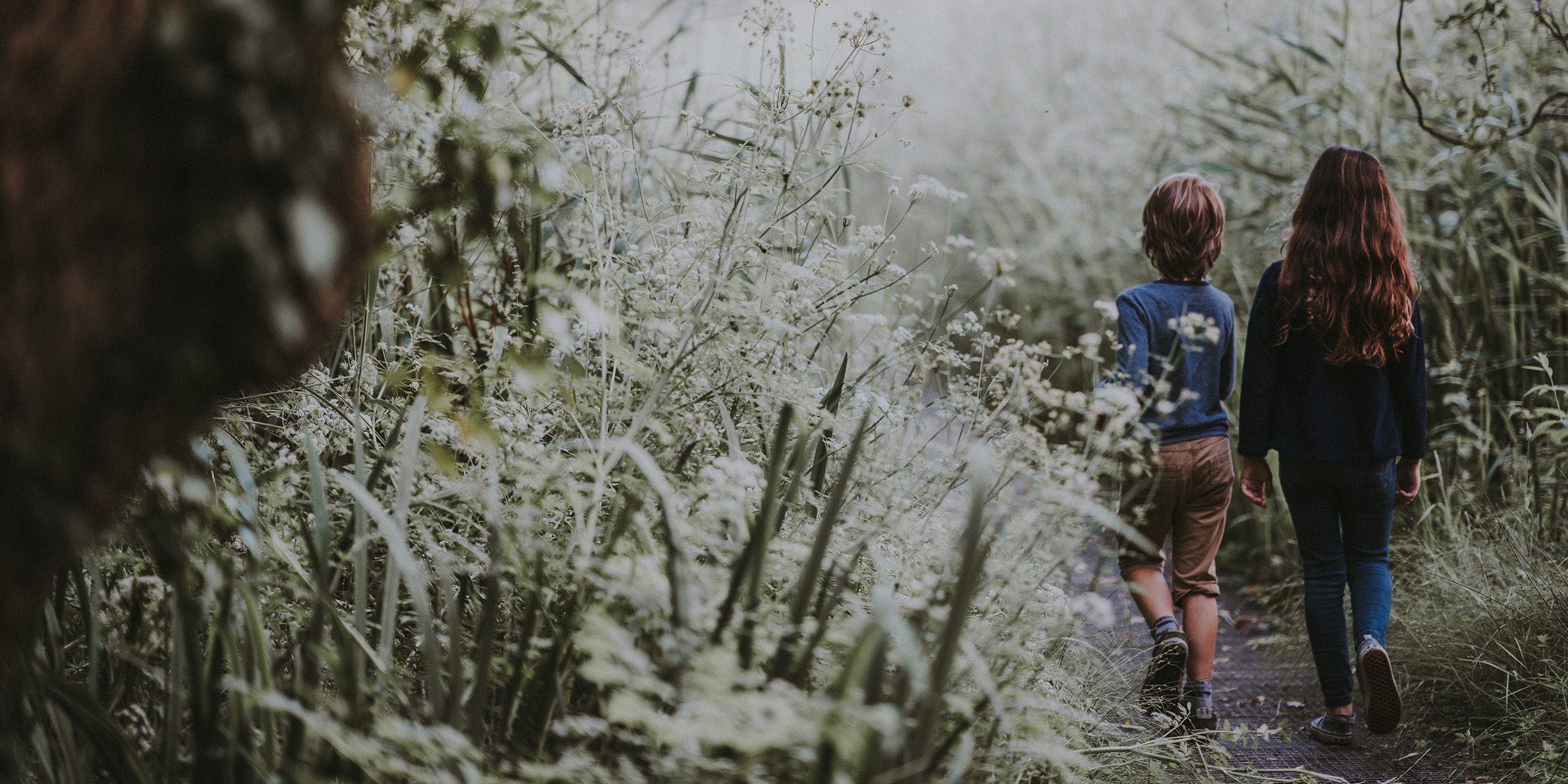 Photo of two children walking along path bordered by wildflowers