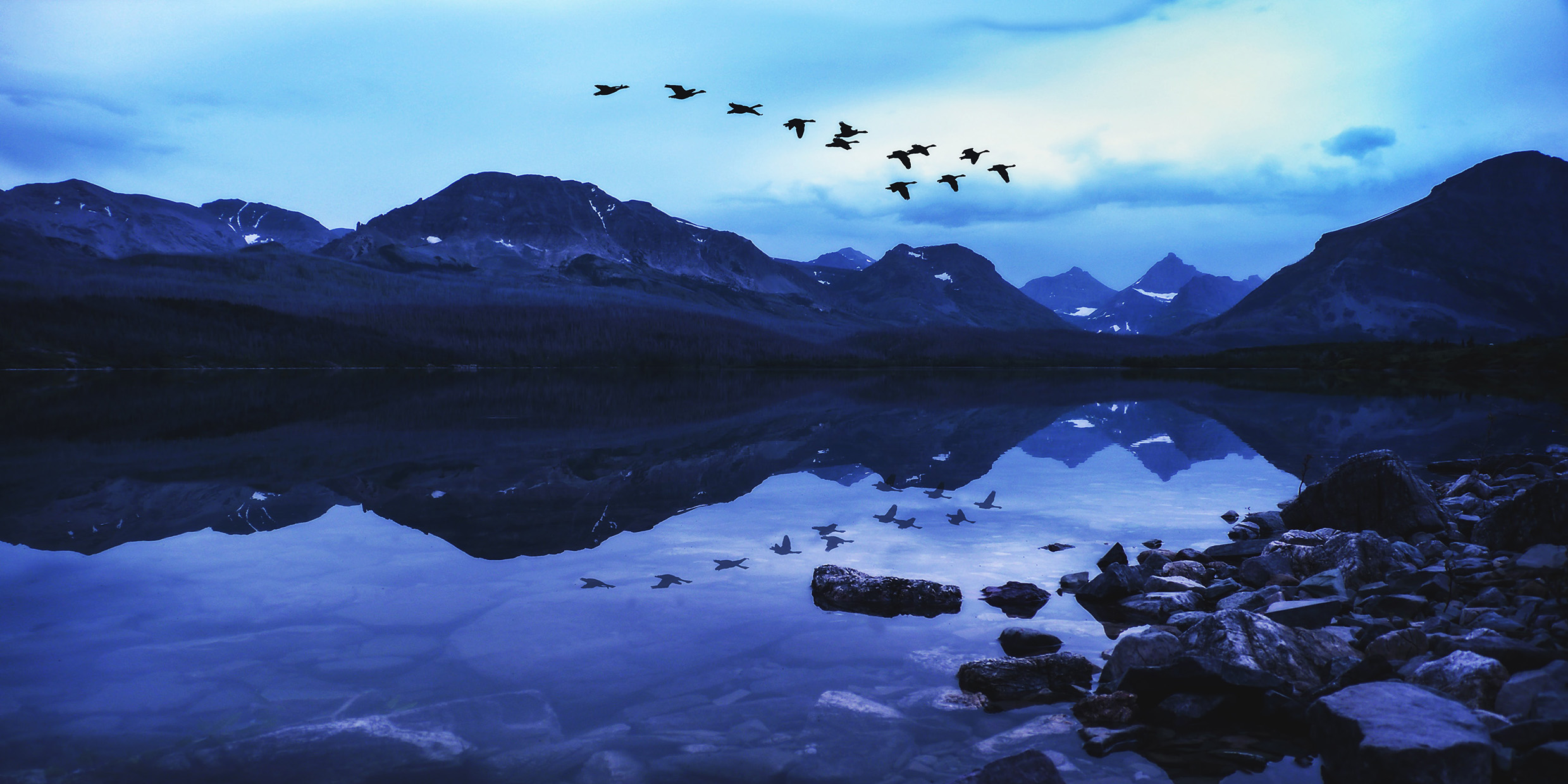 Geese flying in a vee formation over a wilderness landscape