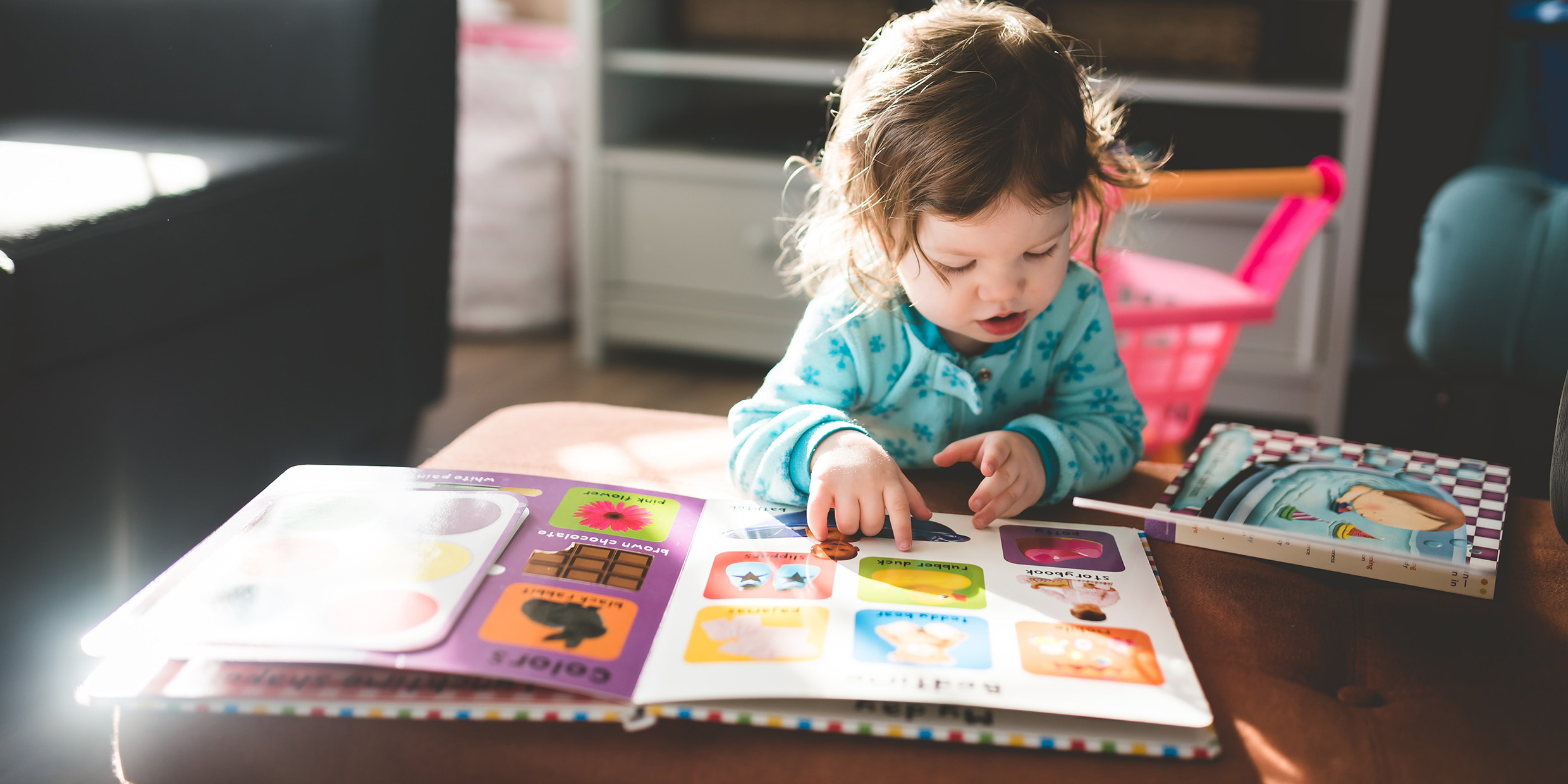 Image of a young child reading a picture book