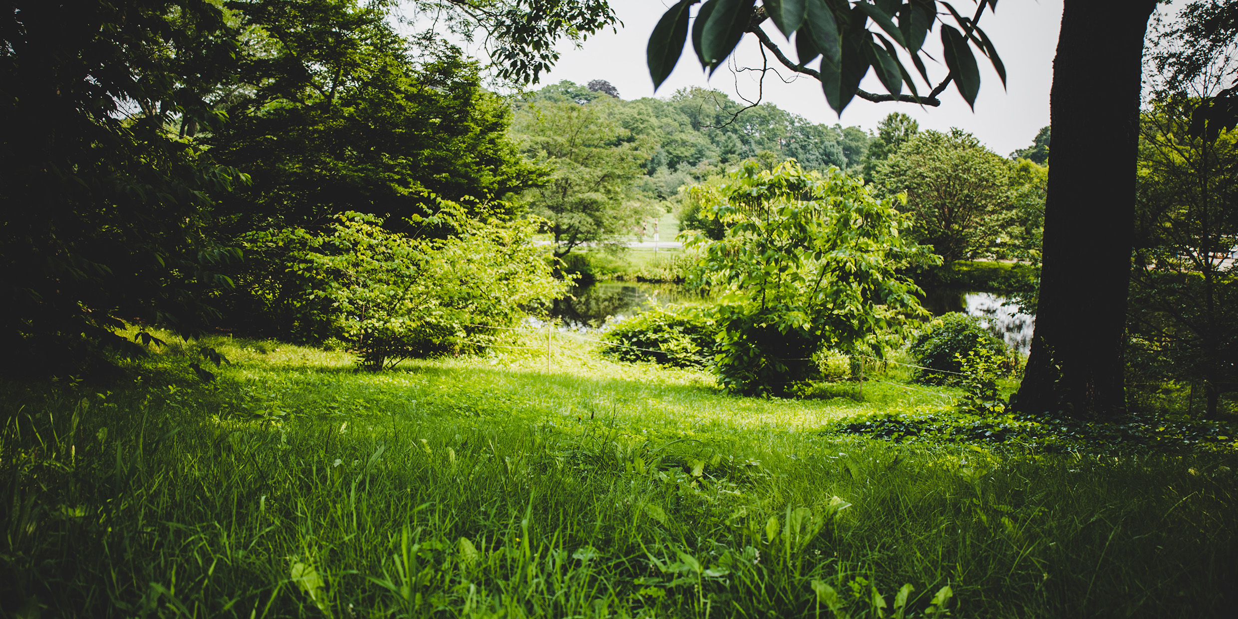 Image of a landscaped park