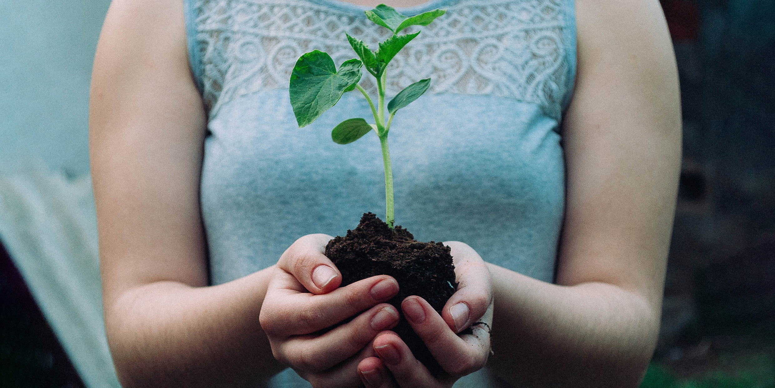 Image of woman holding a green plant seedling in her hands