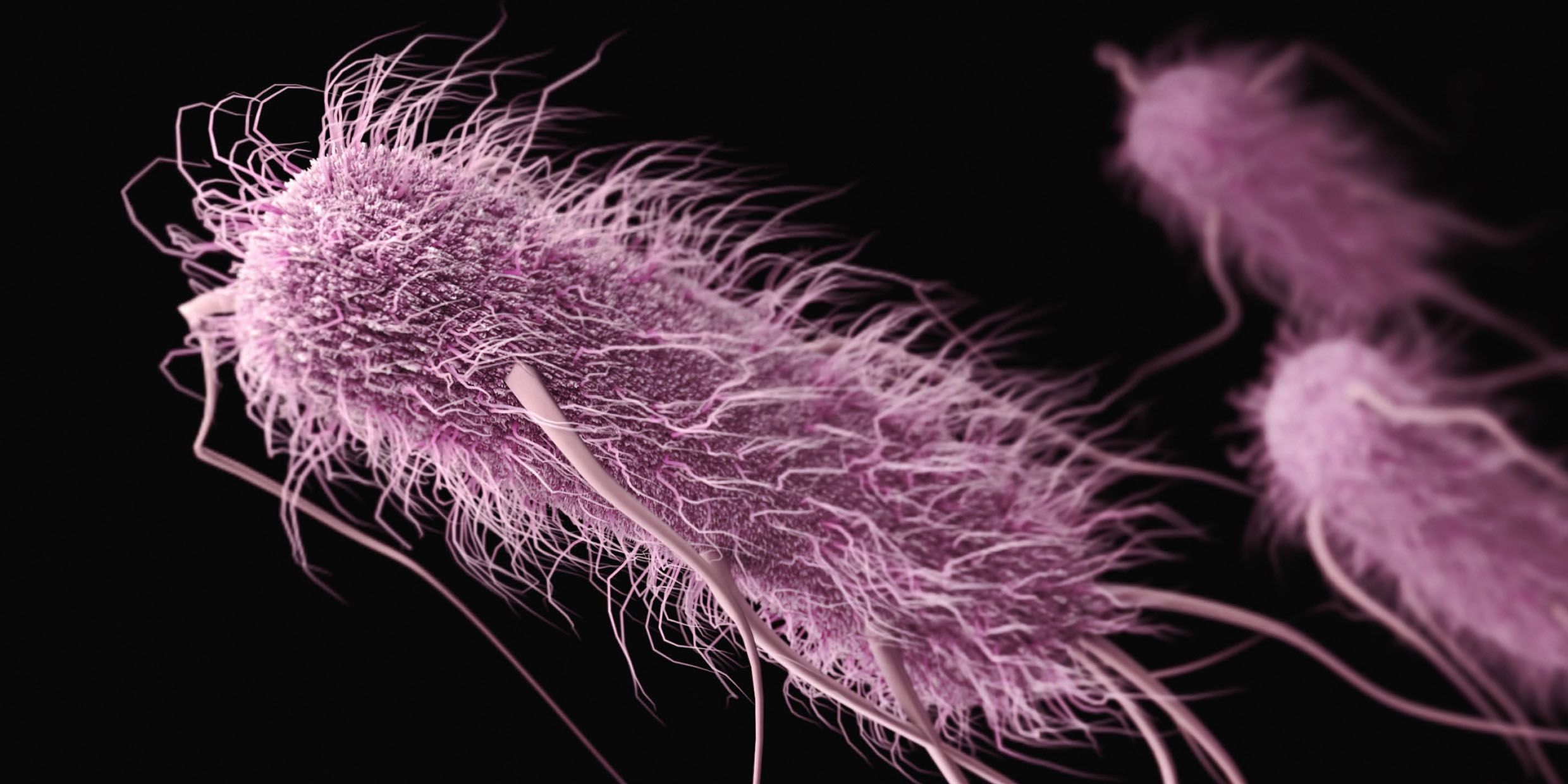 Computer rendering of bacterium