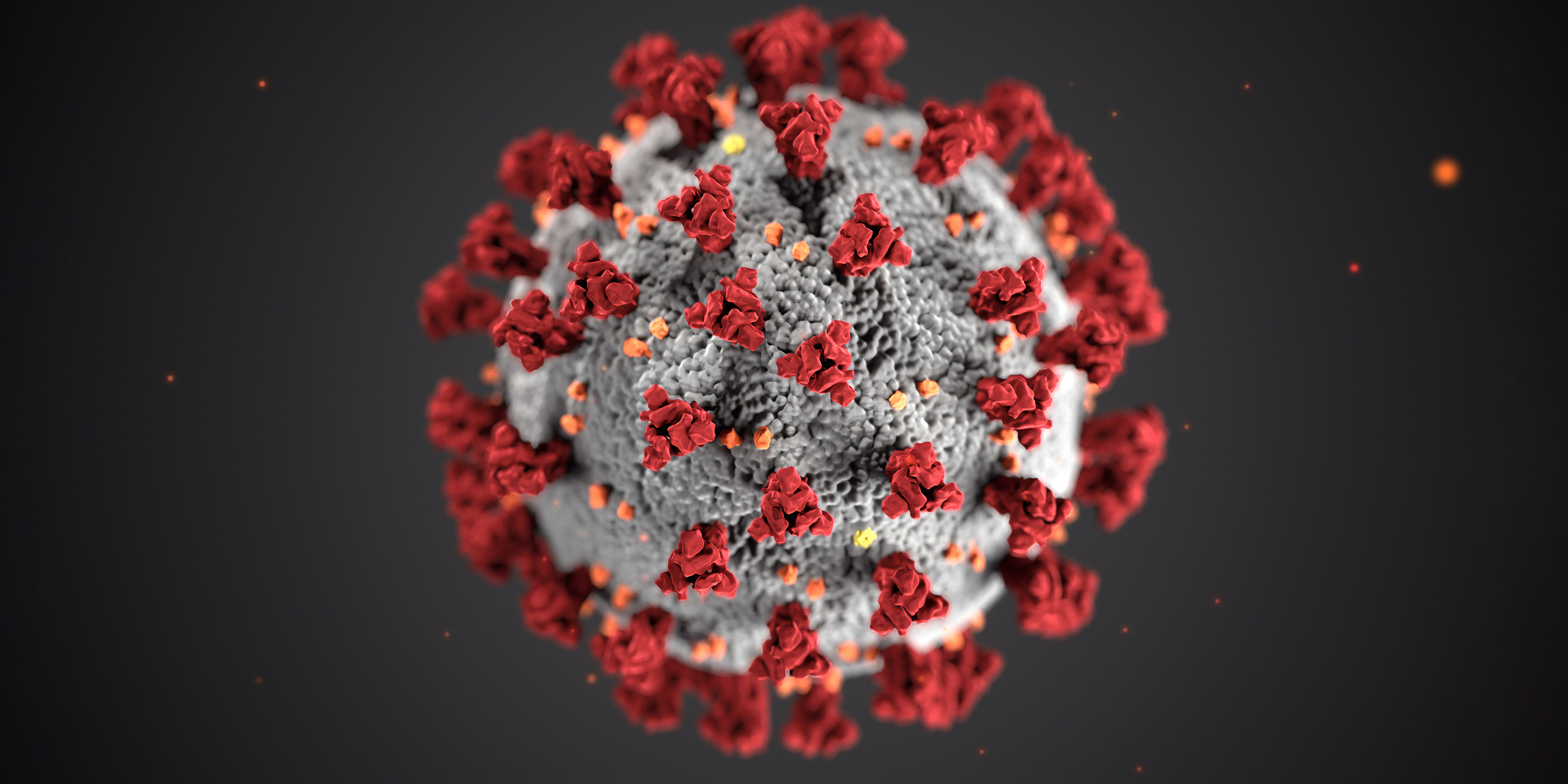 Artist's rendering of the COVID-19 virus