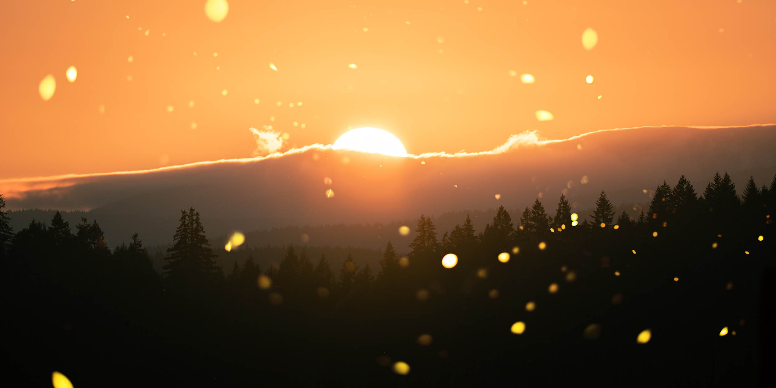 Image of a setting sun