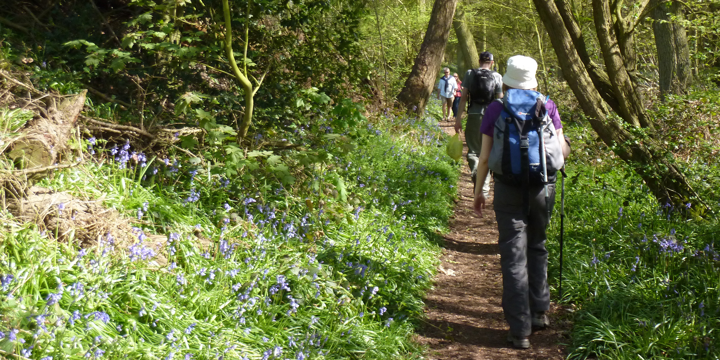 Image of ramblers walking on a footpath in the woods