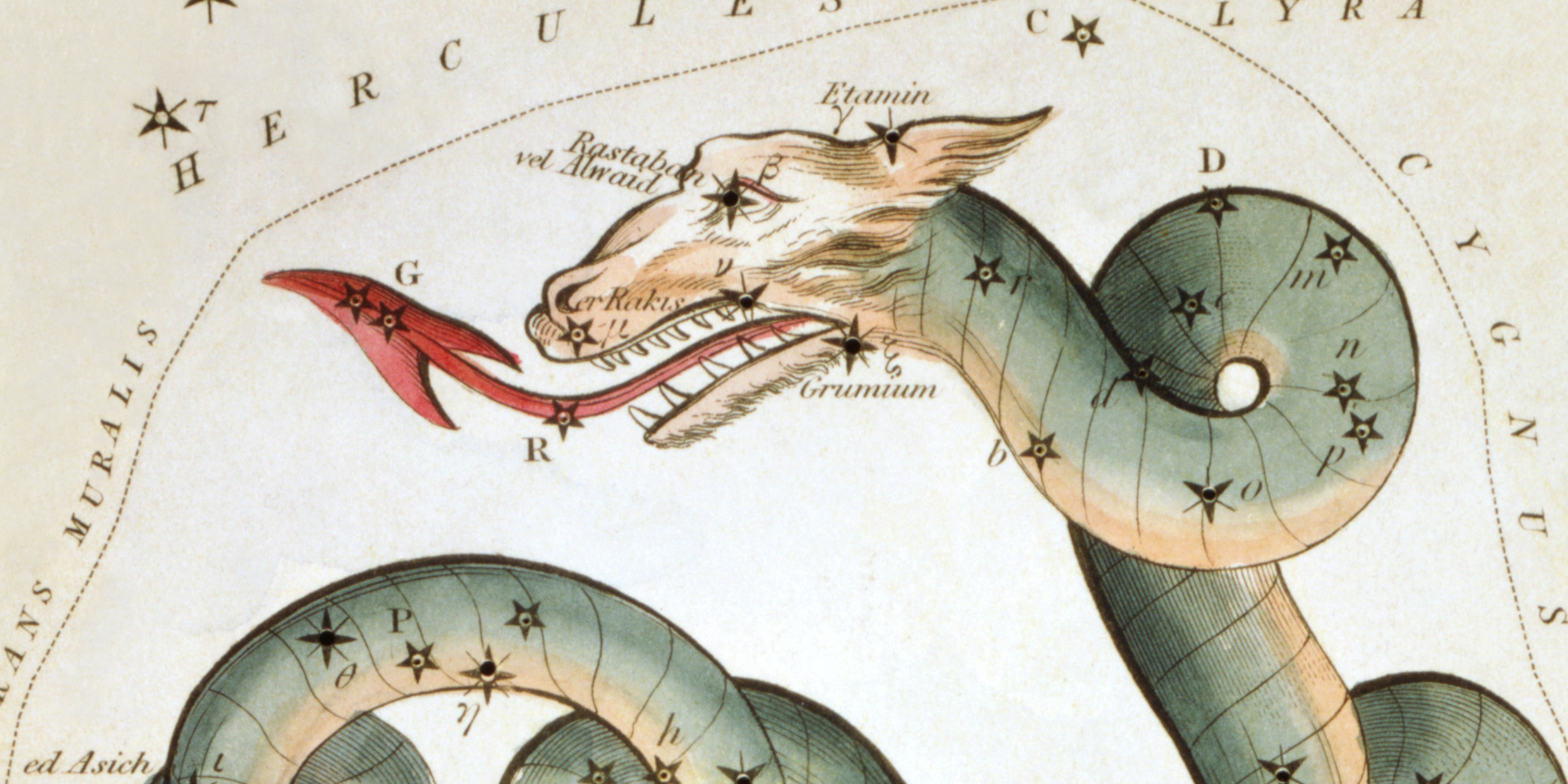 Illustration of a stylized dragon's head superimposed over a constellation of stars