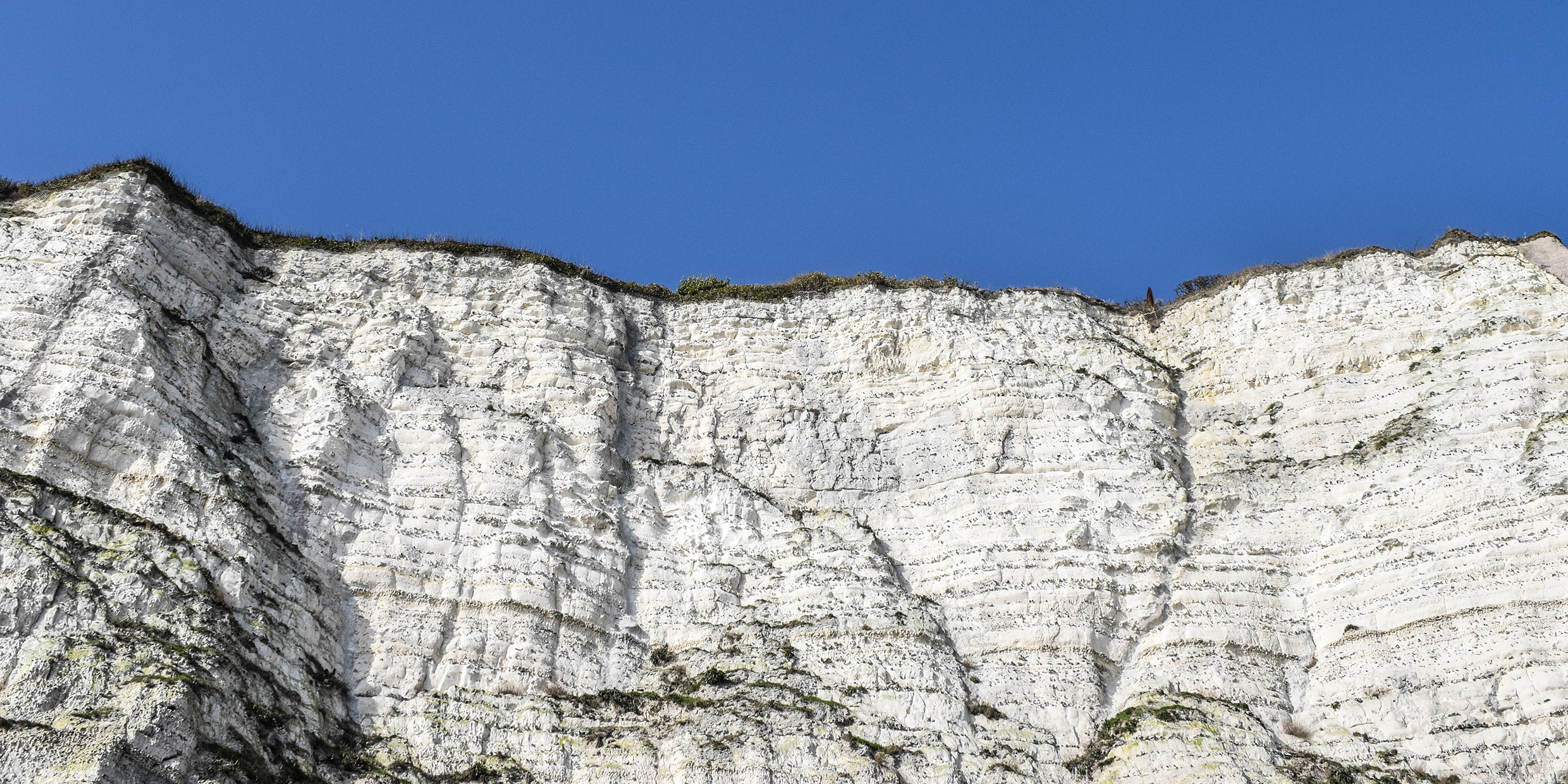 Image of a chalk cliff at Dover, England