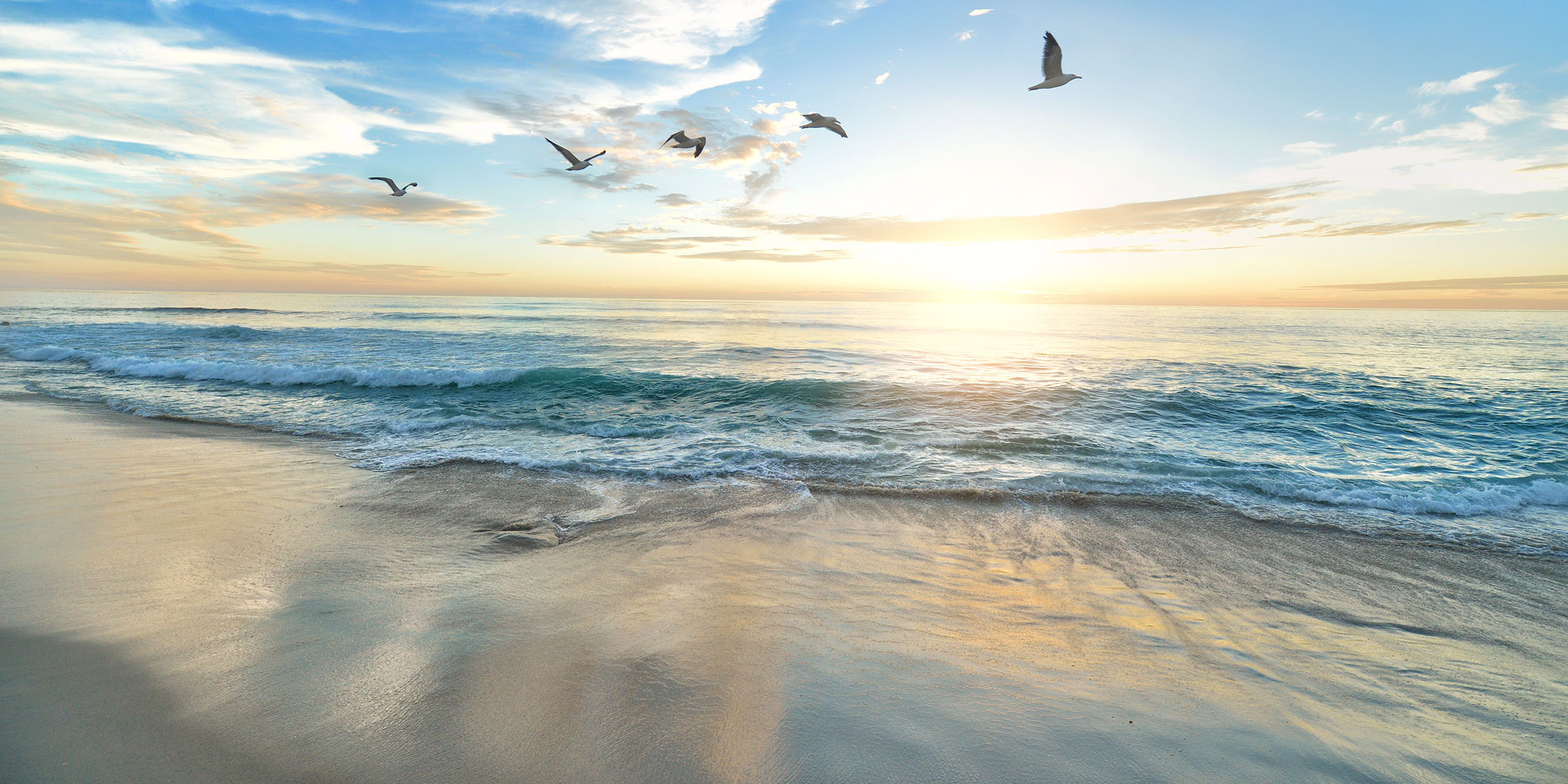 Image of an seashore at sunrise with a group of gulls flying overhead