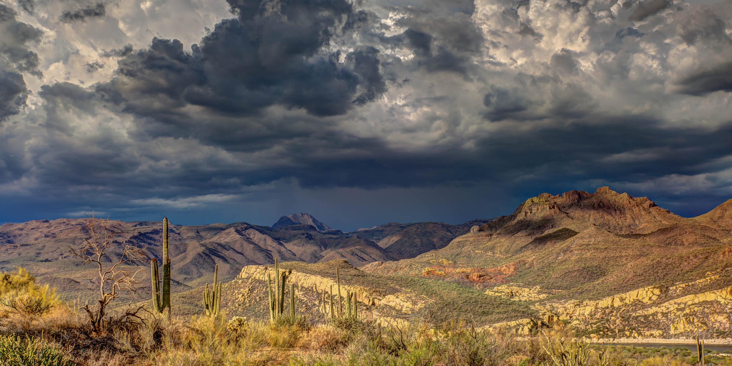 Image of a Southwestern desert with cacti in the foreground and mountains on the horizon