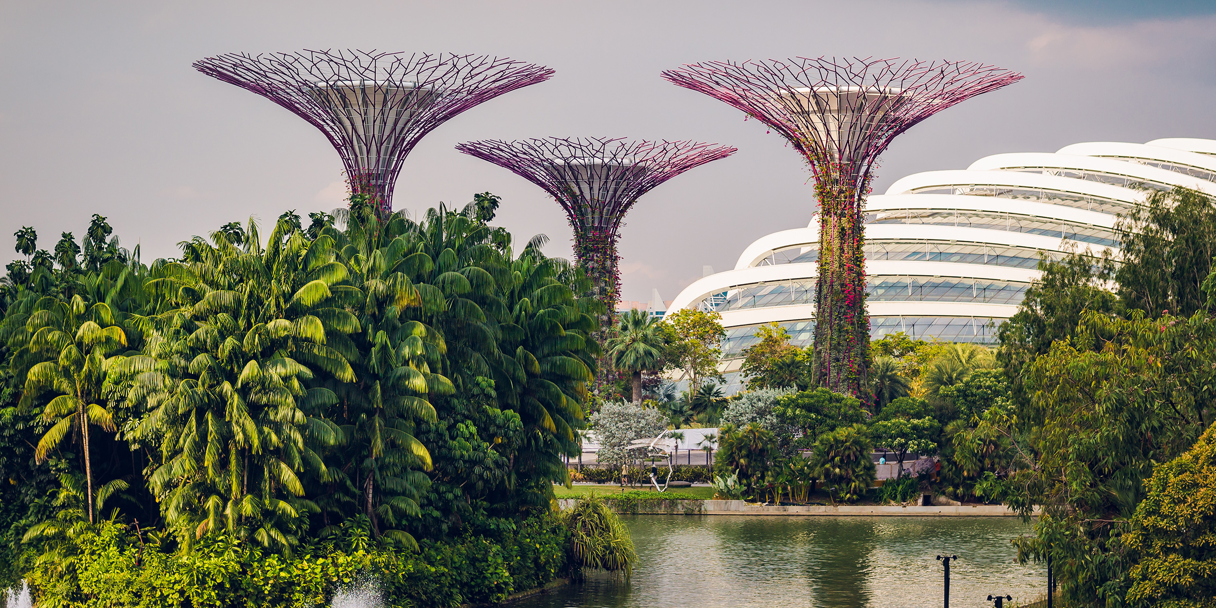 Image of an urban garden park with tall modern structures within it