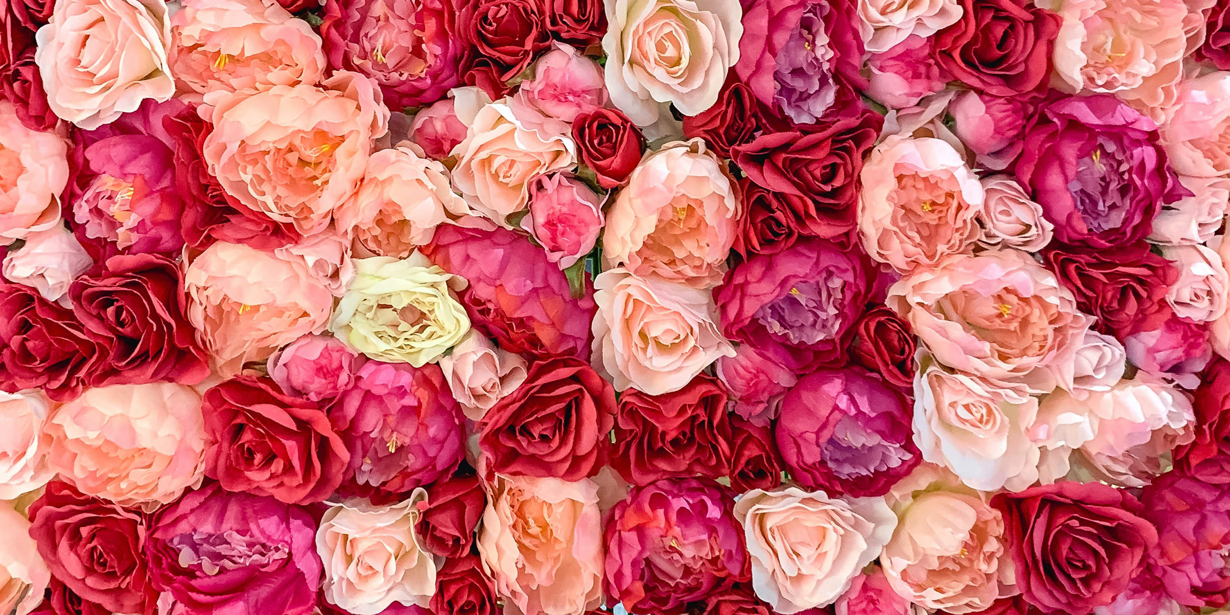 Image of a large assortment of red and pink roses