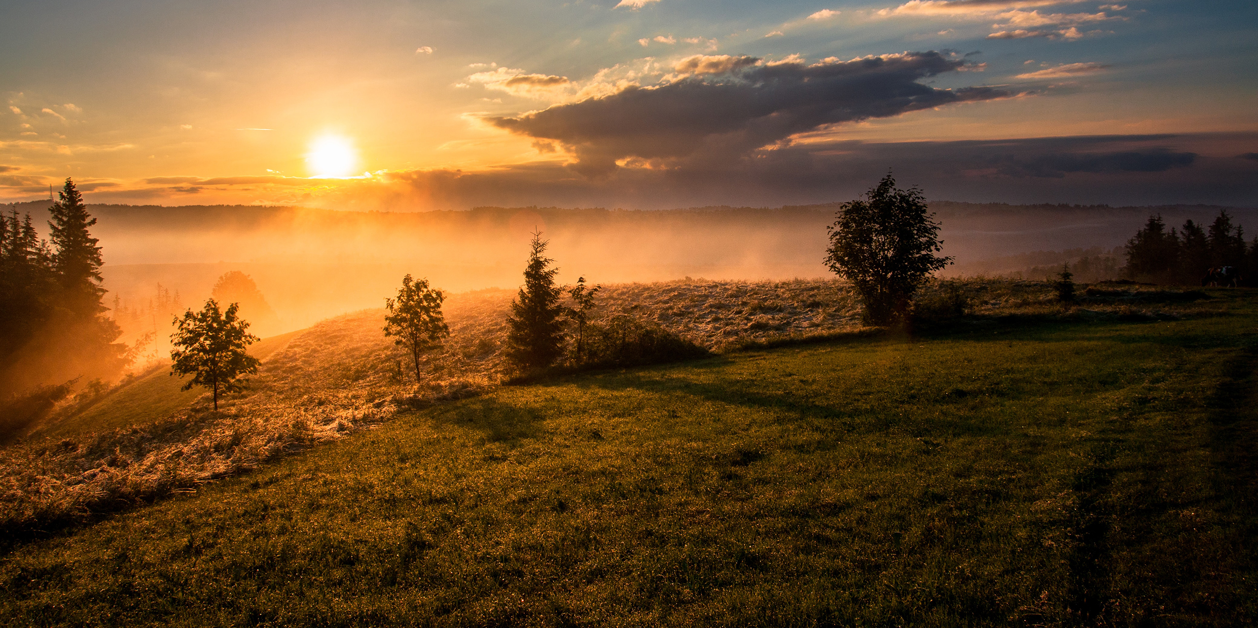 Image of a sunrise over a foggy horizon